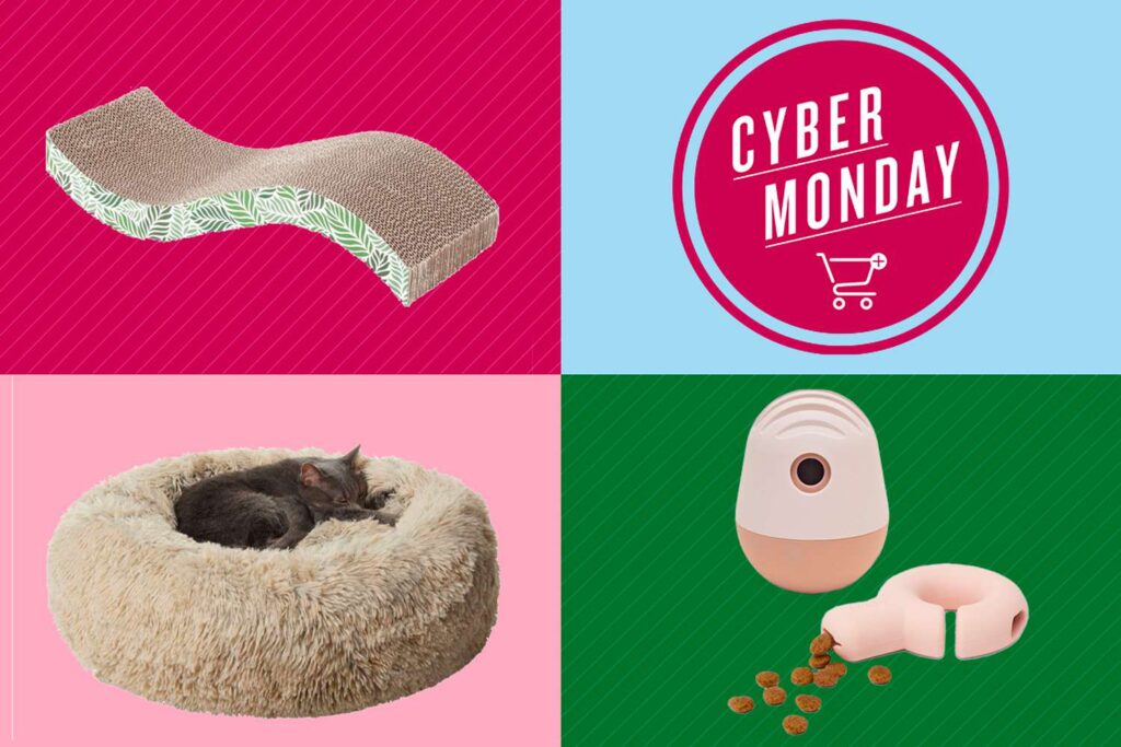 Can I Expect Cyber Monday 2023 Discounts On Pet Products And Supplies?